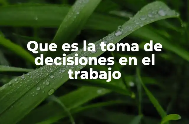 Que es la Toma de Decisiones en el Trabajo