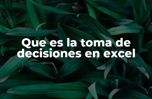 Que es la Toma de Decisiones en Excel