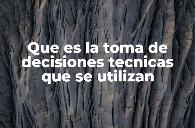 Que es la Toma de Decisiones Tecnicas que Se Utilizan