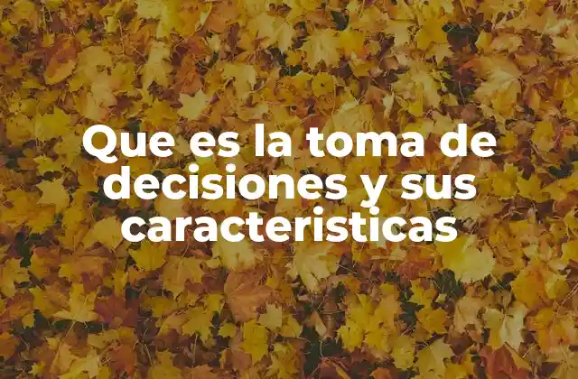 Que es la Toma de Decisiones y Sus Caracteristicas