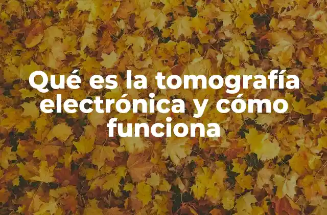 Qué es la Tomografía Electrónica y Cómo Funciona