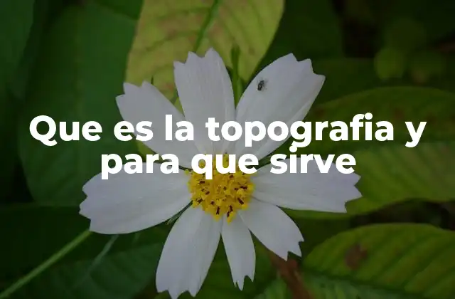 Que es la Topografia y para que Sirve