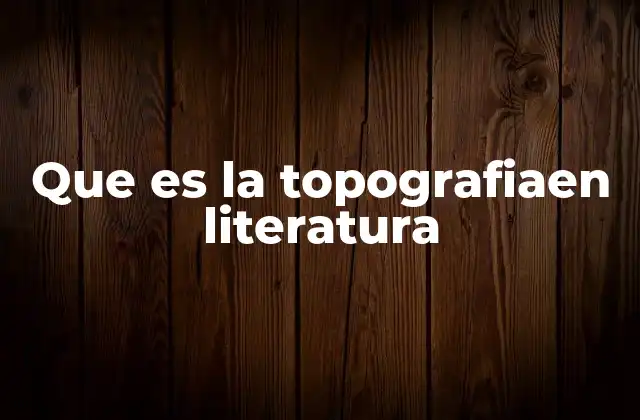 Que es la Topografiaen Literatura