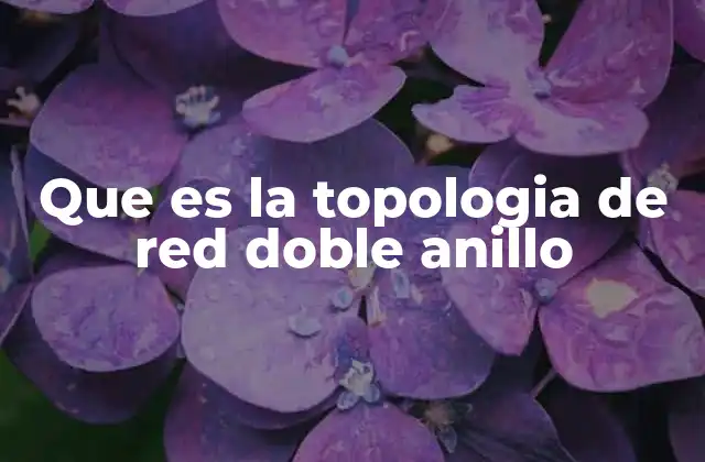 Características principales de la topología de red doble anillo