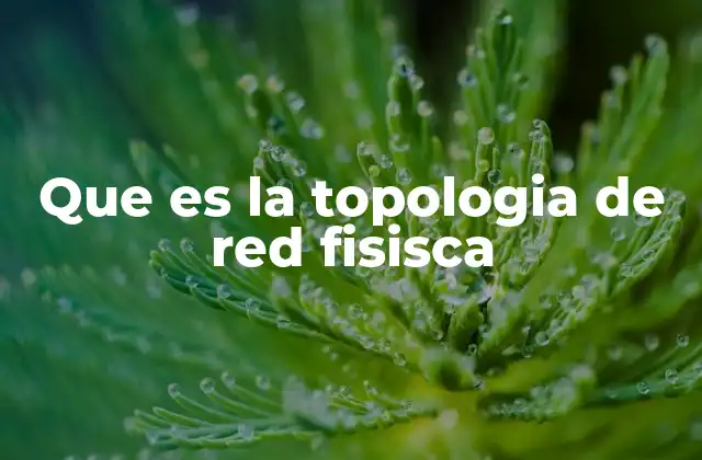 Que es la Topologia de Red Fisisca