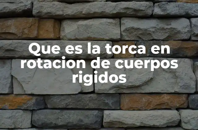 La importancia de la rotación en el estudio de los cuerpos rígidos