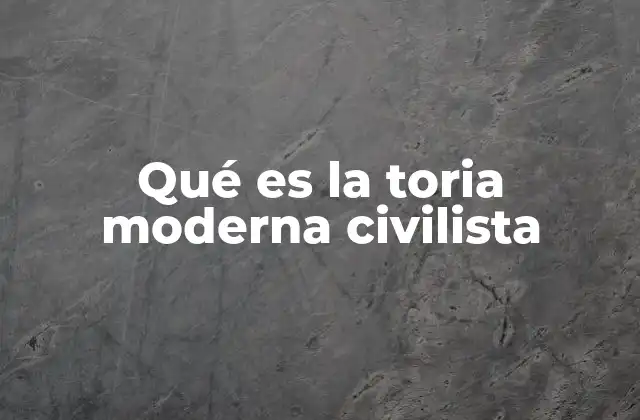 El papel de la sociedad civil en la teoría civilista moderna