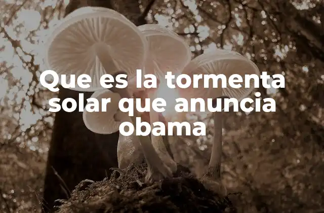 Que es la Tormenta Solar que Anuncia Obama