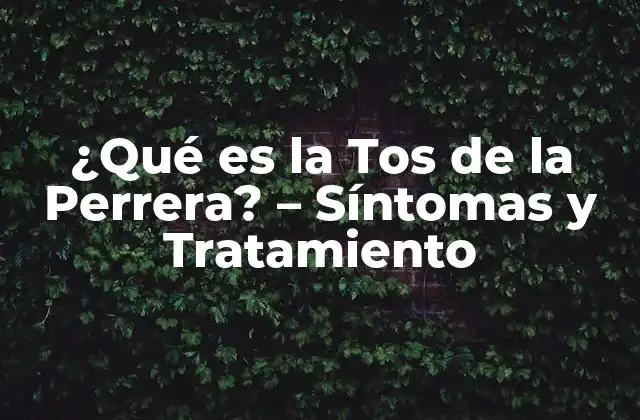¿qué es la Tos de la Perrera? – Síntomas y Tratamiento