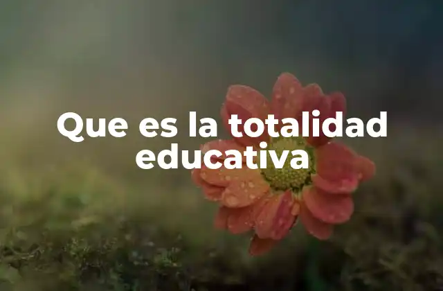 Que es la Totalidad Educativa