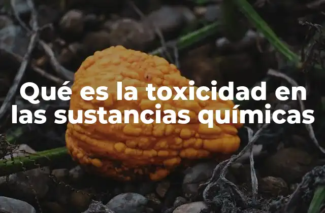 Qué es la Toxicidad en las Sustancias Químicas