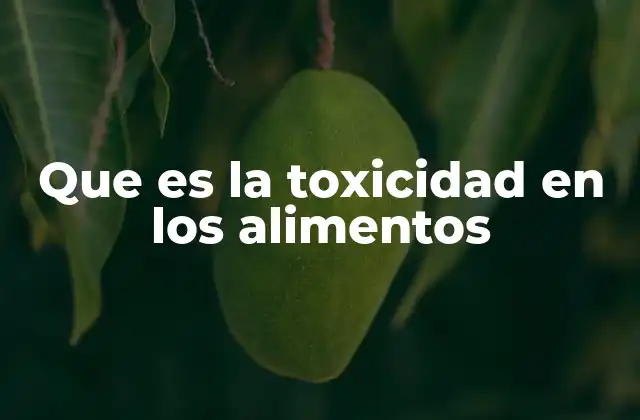 Cómo la contaminación alimentaria afecta la salud humana