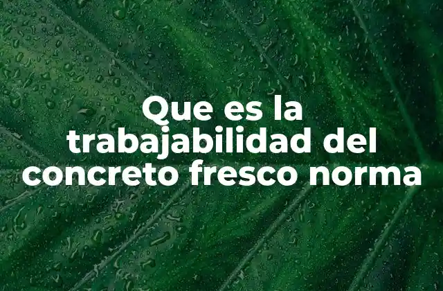 Factores que influyen en la trabajabilidad del concreto fresco