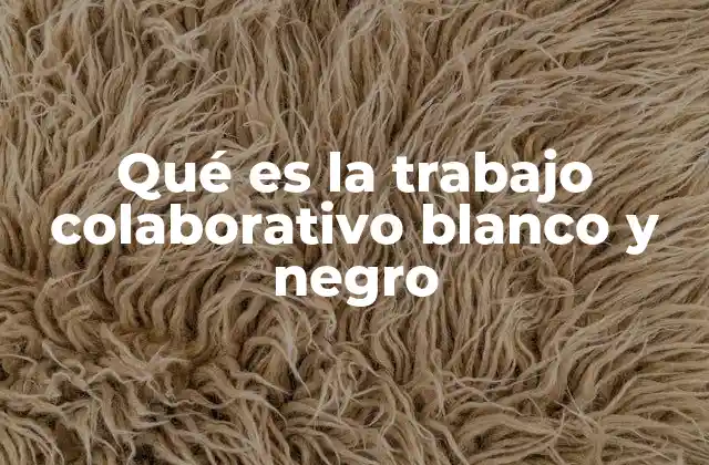 El equilibrio entre claridad y diversidad en el trabajo colaborativo