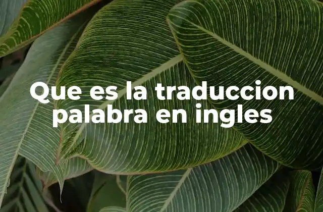 Que es la Traduccion Palabra en Ingles