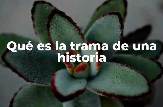 Qué es la Trama de una Historia