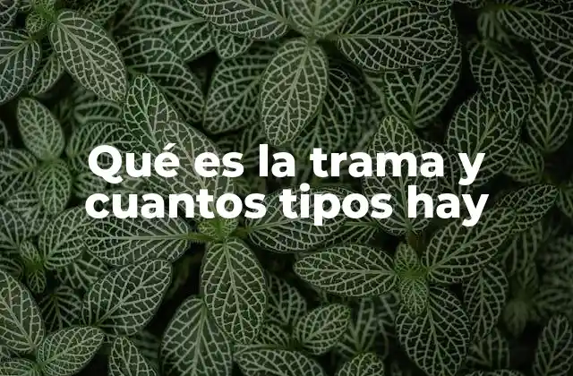 Qué es la Trama y Cuantos Tipos Hay 2 La estructura narrativa como base de la trama