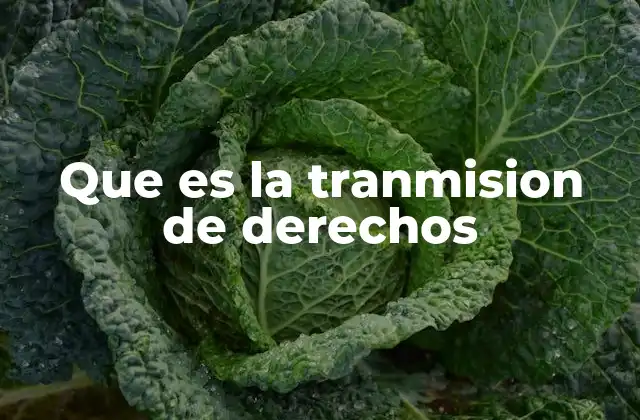 Que es la Tranmision de Derechos