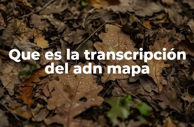 El proceso de transcripción y su importancia en la expresión génica