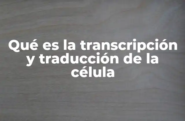 Qué es la Transcripción y Traducción de la Célula
