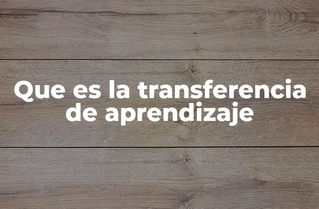La importancia de la transferencia en el desarrollo cognitivo