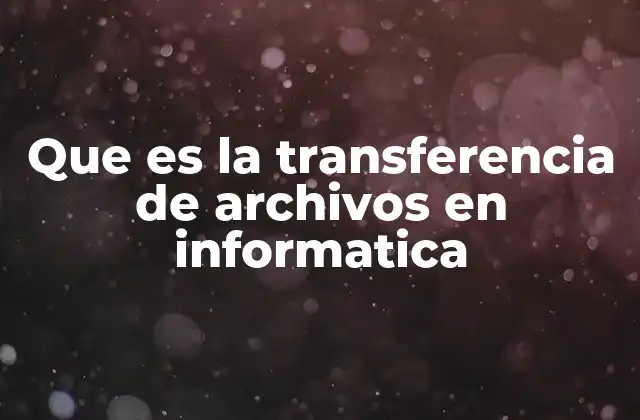 Que es la Transferencia de Archivos en Informatica