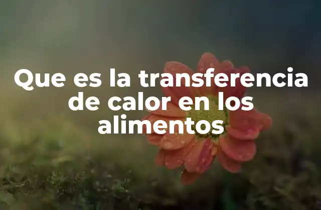 Que es la Transferencia de Calor en los Alimentos