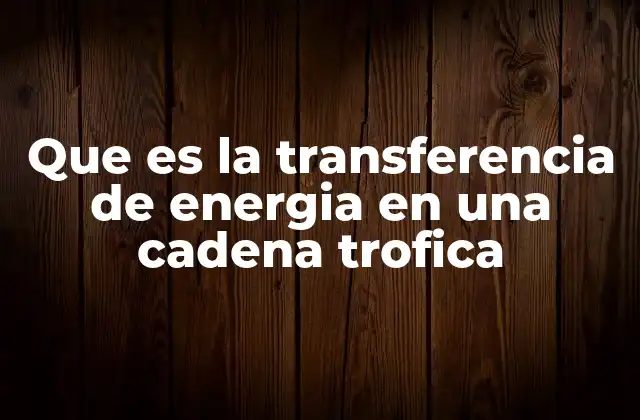 Que es la Transferencia de Energia en una Cadena Trofica