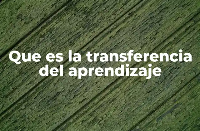 Que es la Transferencia Del Aprendizaje