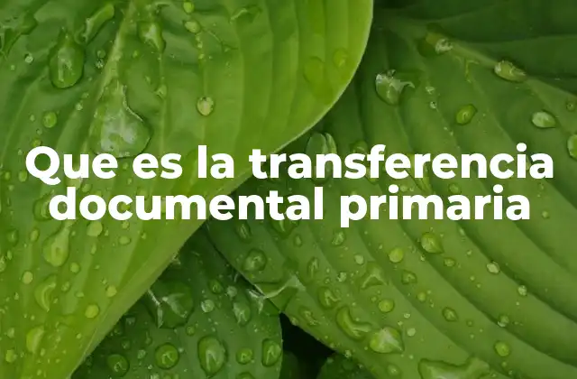 Que es la Transferencia Documental Primaria