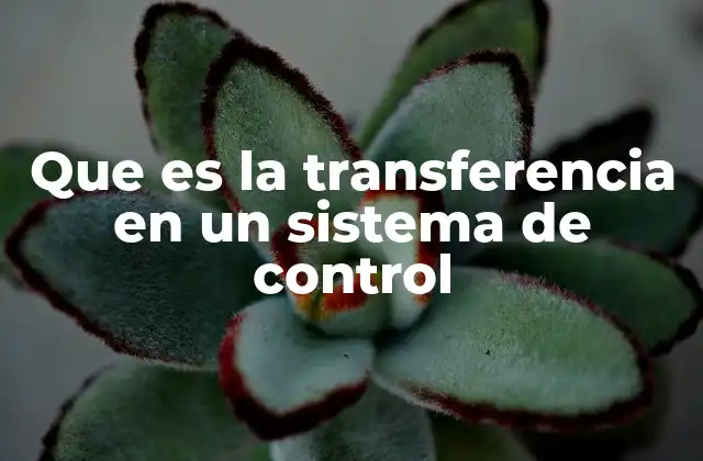 Que es la Transferencia en un Sistema de Control