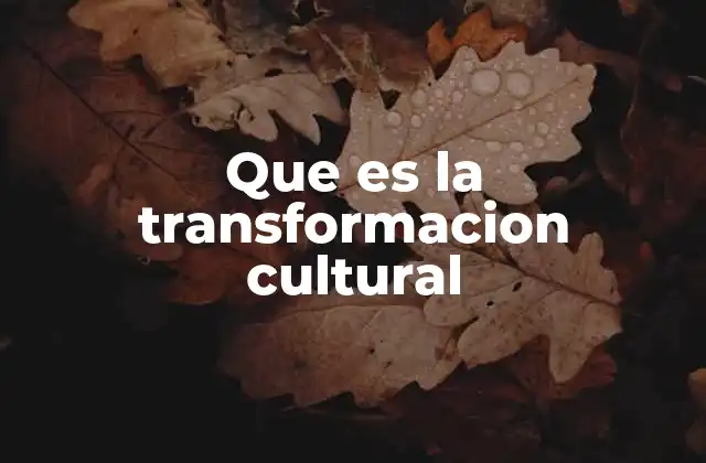 Que es la Transformacion Cultural