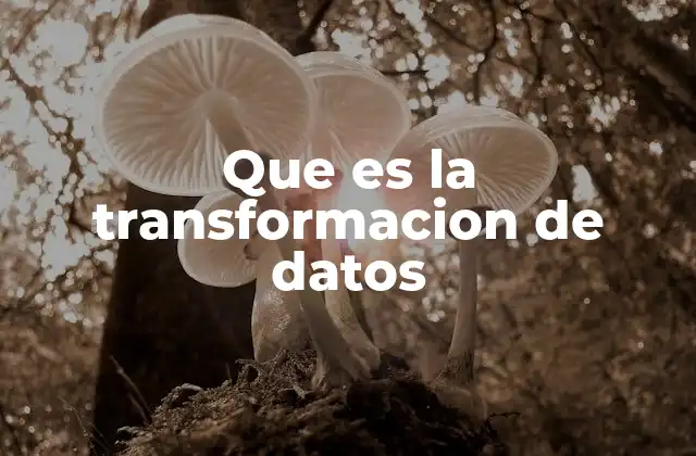 Que es la Transformacion de Datos 2 Cómo la transformación de datos mejora la toma de decisiones