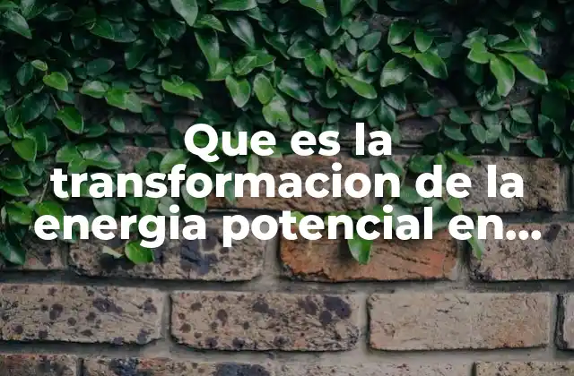 Que es la Transformacion de la Energia Potencial en Cinetica