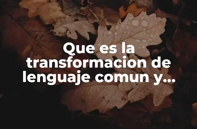 Que es la Transformacion de Lenguaje Comun y Lenguaje Algebraico