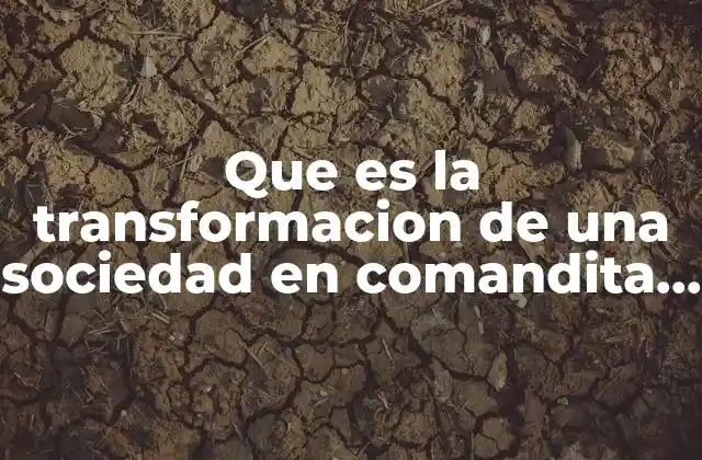 Que es la Transformacion de una Sociedad en Comandita Simple 2 Cambios estructurales en la forma jurídica de una empresa