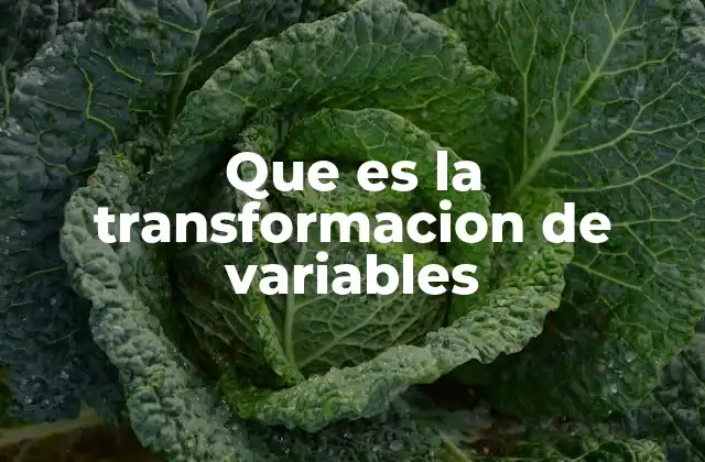 El rol de las transformaciones en el análisis de datos
