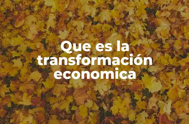 Que es la Transformación Economica