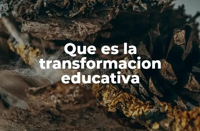 Que es la Transformacion Educativa