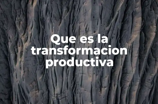 Que es la Transformacion Productiva