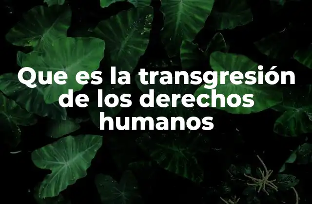 Que es la Transgresión de los Derechos Humanos 2 Cómo se manifiesta el daño a la dignidad humana