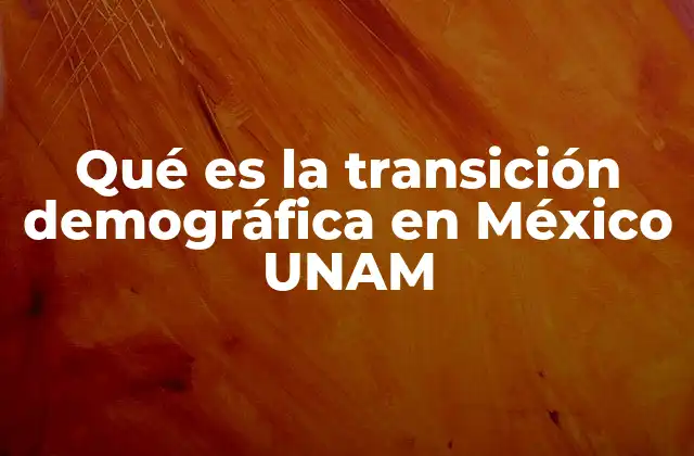 Qué es la Transición Demográfica en México Unam