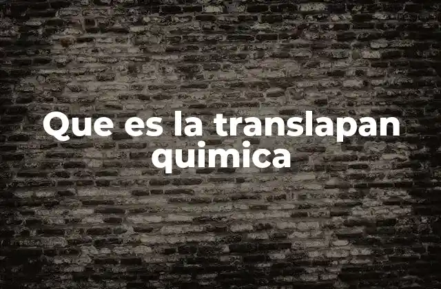 Que es la Translapan Quimica