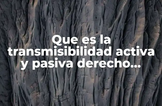 Que es la Transmisibilidad Activa y Pasiva Derecho Romano 2 La importancia de la transmisibilidad en la herencia y la sucesión