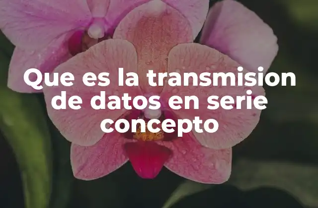 Que es la Transmision de Datos en Serie Concepto