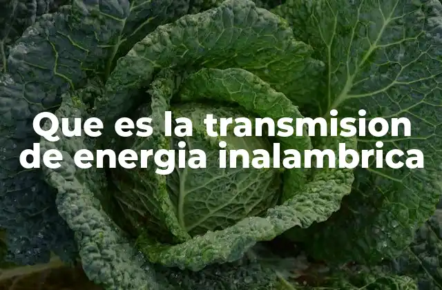 Que es la Transmision de Energia Inalambrica