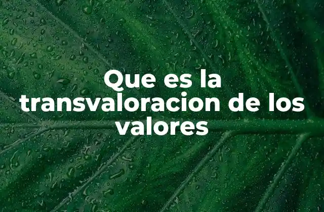 Que es la Transvaloracion de los Valores
