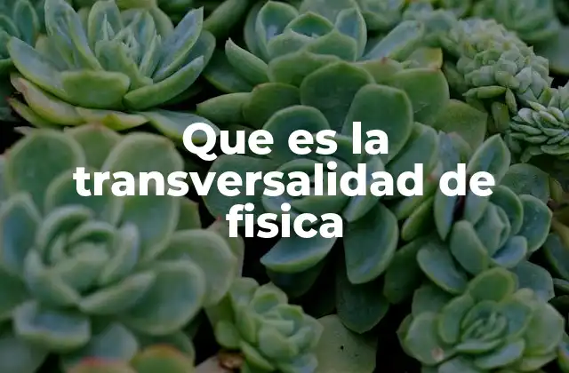 La transversalidad en el estudio de ondas físicas