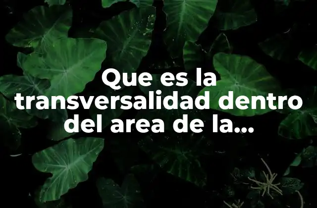 Que es la Transversalidad Dentro Del Area de la Educacion