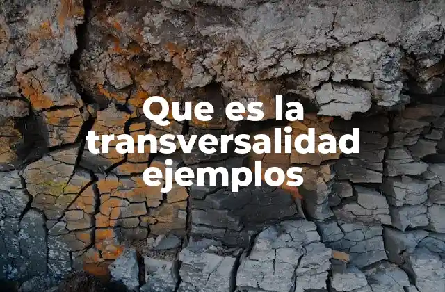 Que es la Transversalidad Ejemplos